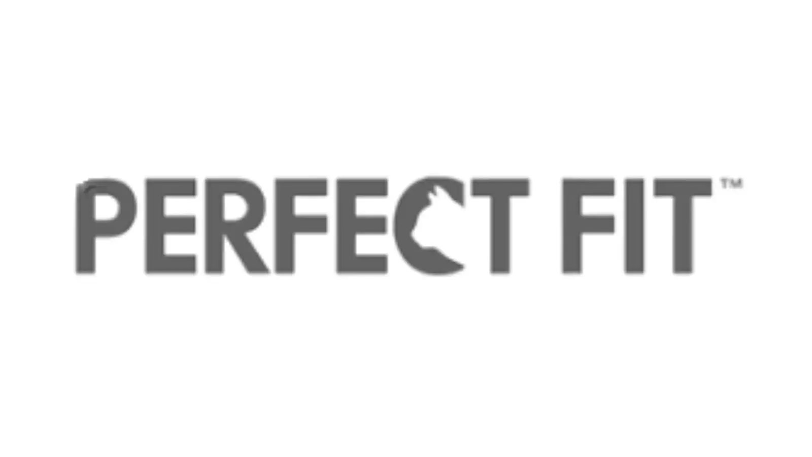 Perfect Fit Partner Logo