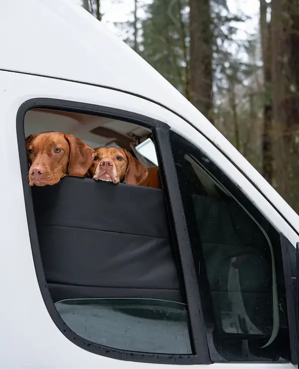 RAM PROMASTER STEALTH FRONT DOOR WINDOW COVERS (PAIR) - Image 6